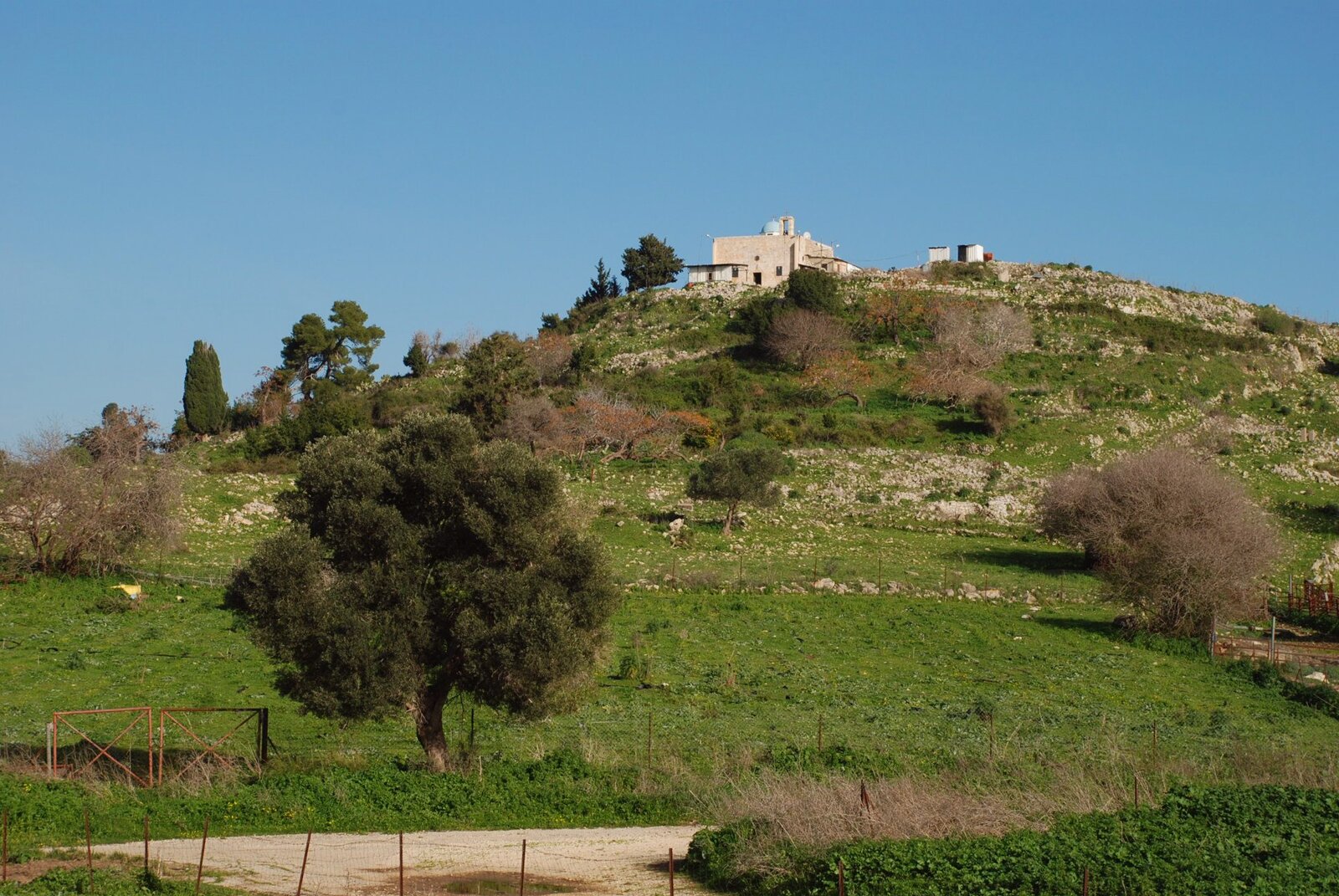 Ashkar Winery photo 5