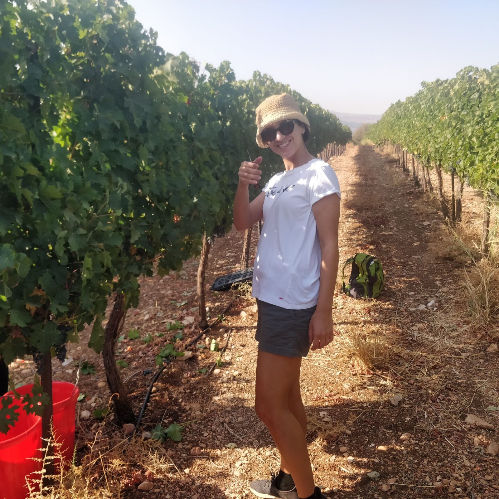Julia Winery photo 8