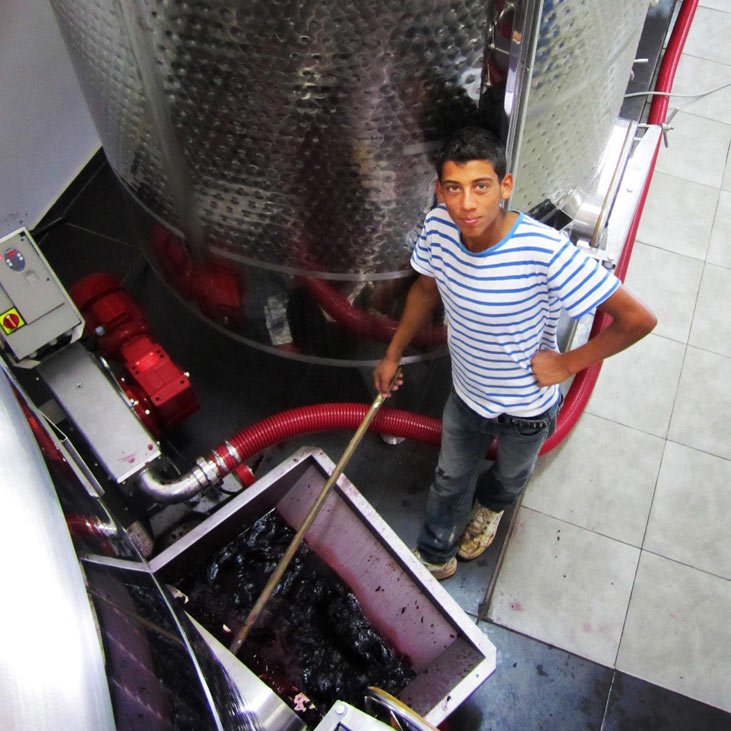 Taybeh Winery photo 7
